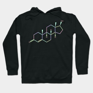 Testosterone Kawaii Pastel Rainbow Molecule Hoodie